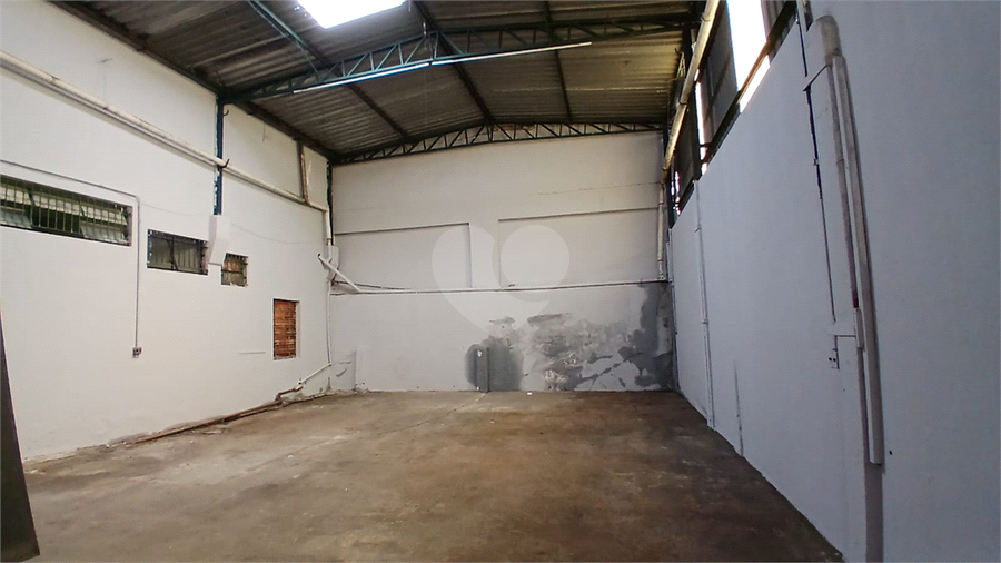 Foto REO1134006