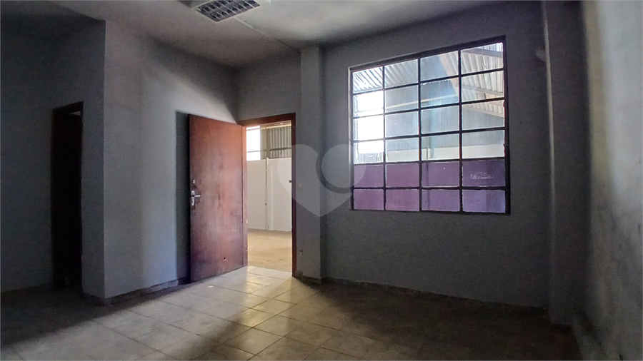 Foto REO1134006