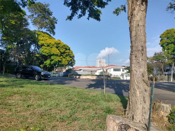 Foto REO1134065