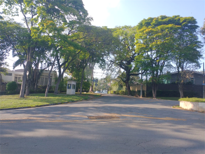 Foto REO1134065
