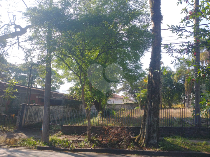 Foto REO1134065