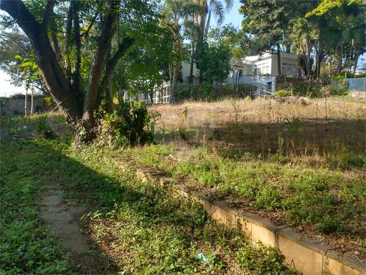 Foto REO1134065