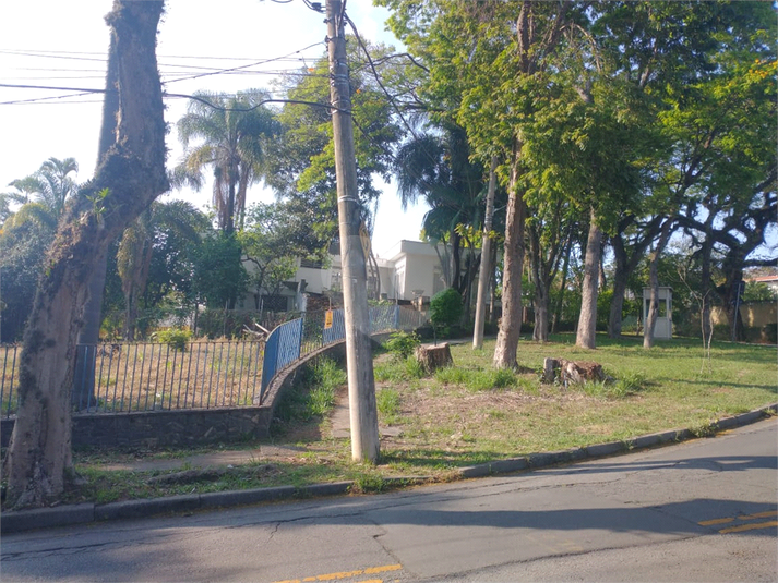 Foto REO1134065