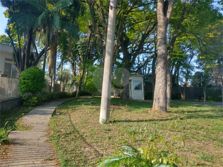 Foto REO1134065
