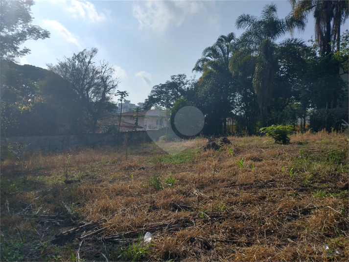 Foto REO1134065