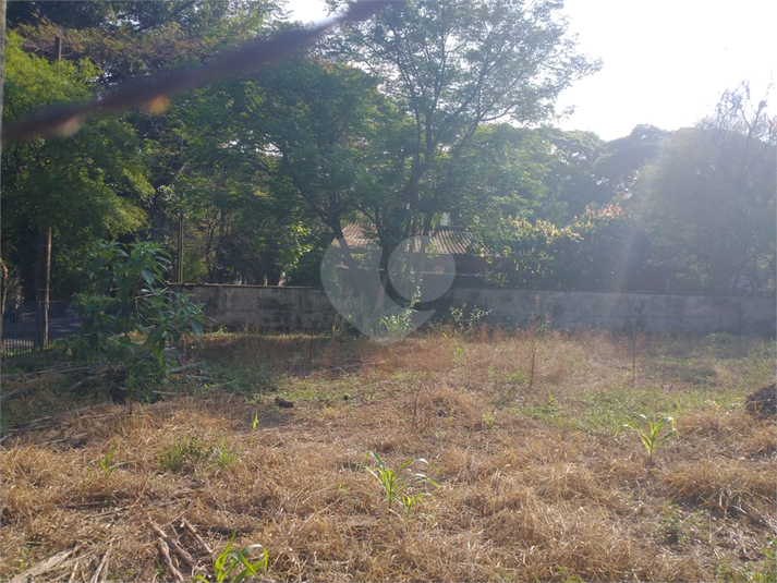 Foto REO1134065