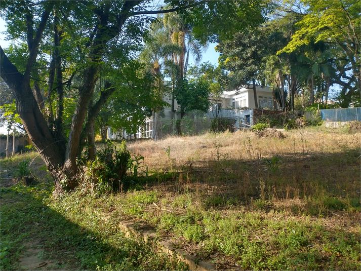 Foto REO1134065