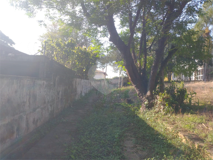 Foto REO1134065