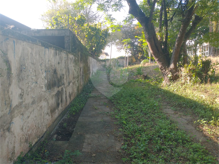 Foto REO1134065