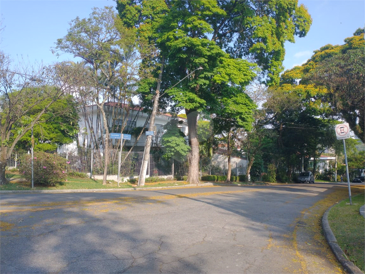 Foto REO1134065