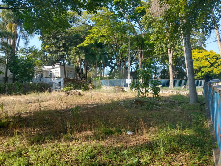 Foto REO1134065