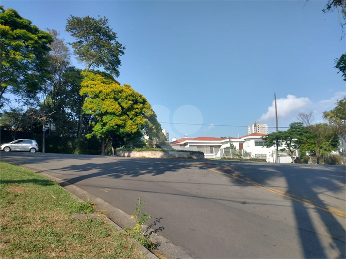Foto REO1134065