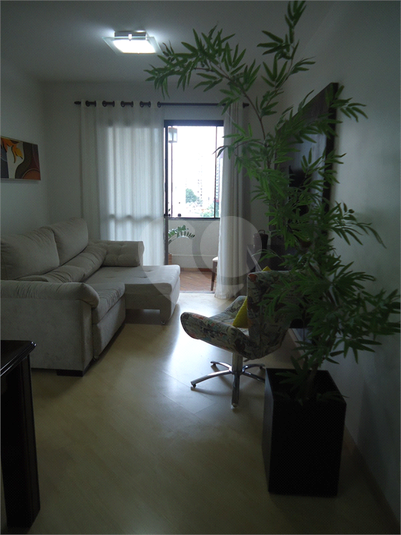 Foto REO1134070