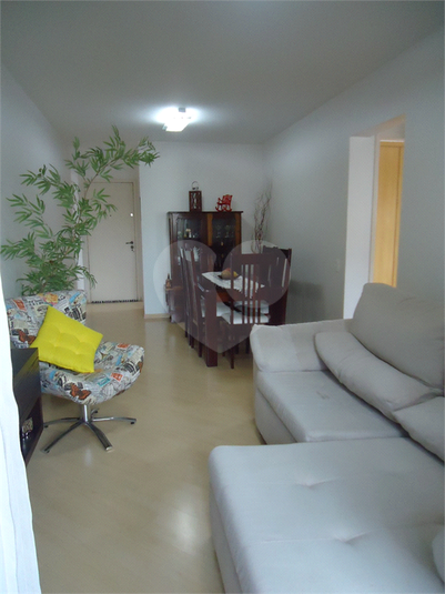 Foto REO1134070