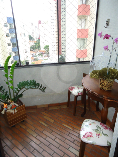 Foto REO1134070