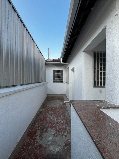 Foto REO1134083