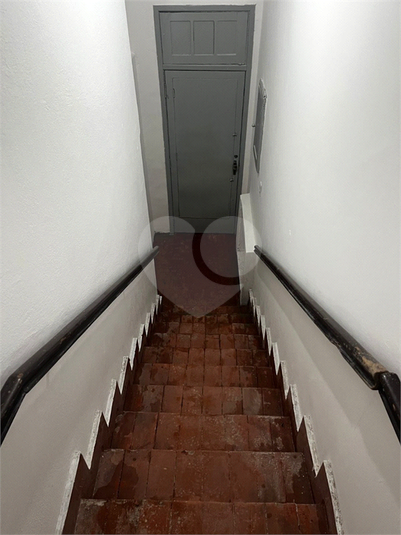 Foto REO1134083