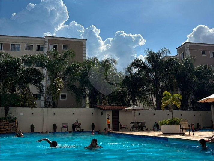 Foto REO1134097