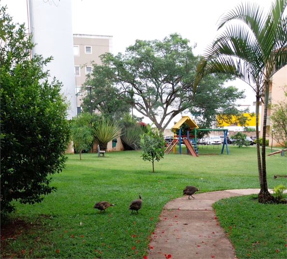 Foto REO1134097