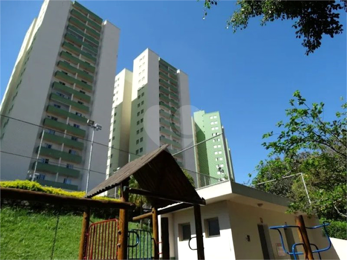 Foto REO1134118