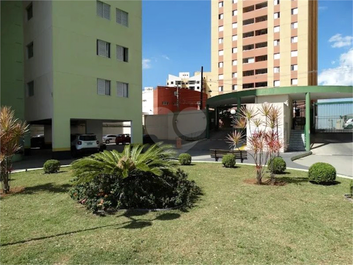 Foto REO1134118