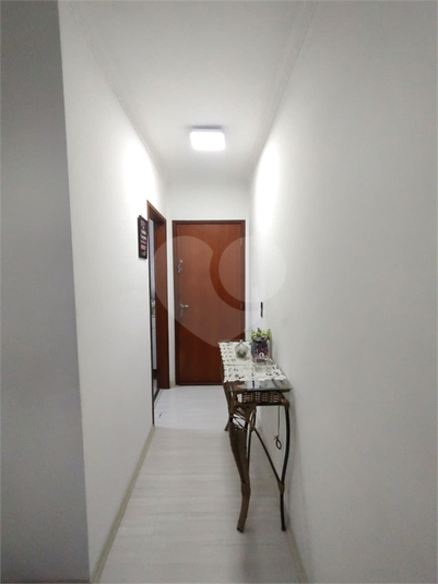 Foto REO1134118
