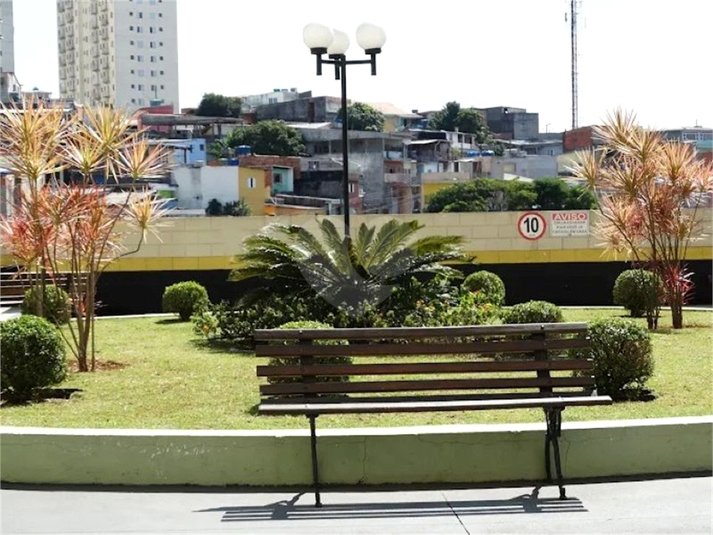 Foto REO1134118
