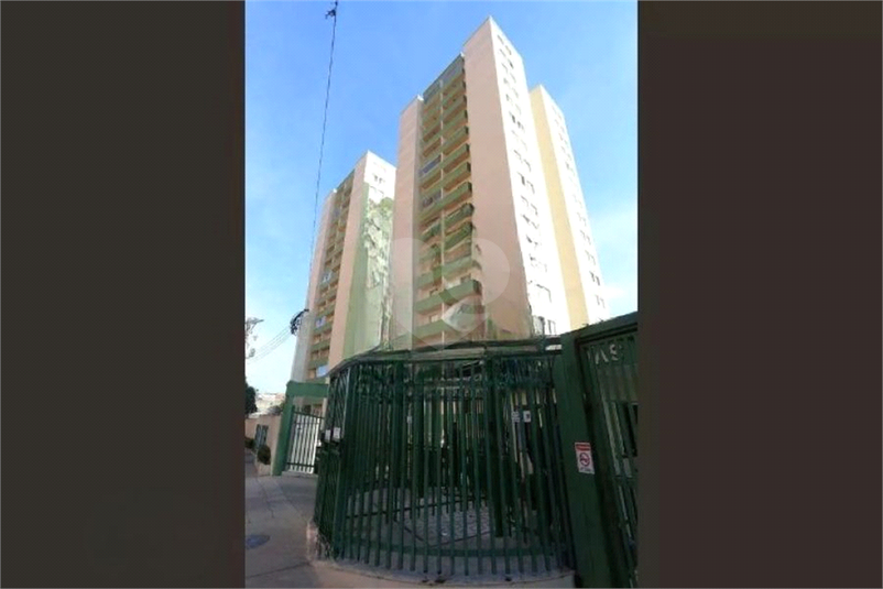 Foto REO1134118