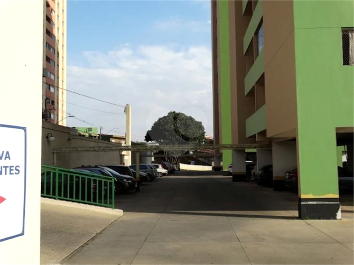 Foto REO1134118
