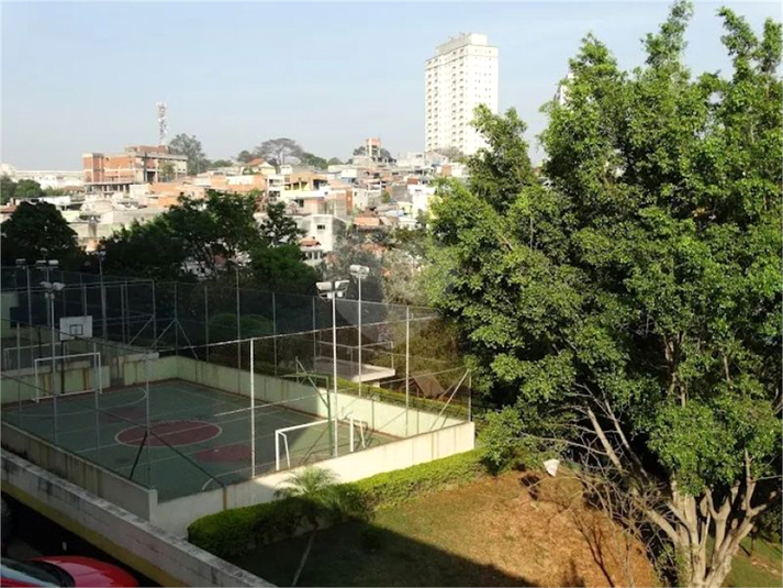 Foto REO1134118