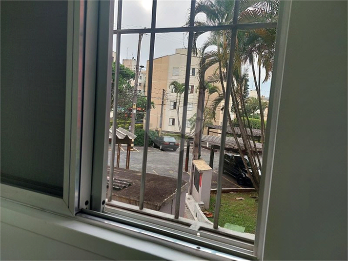 Foto REO1134125