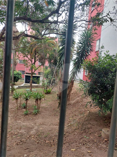 Foto REO1134125