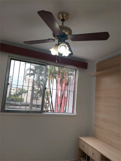 Foto REO1134125