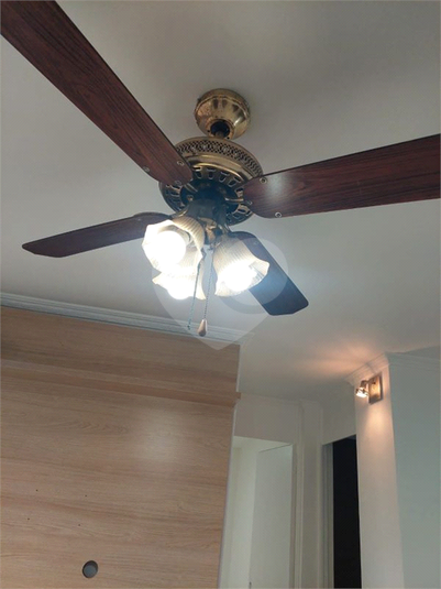 Foto REO1134125