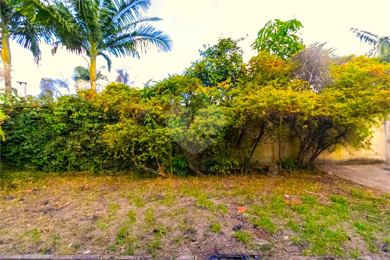 Foto REO1134126