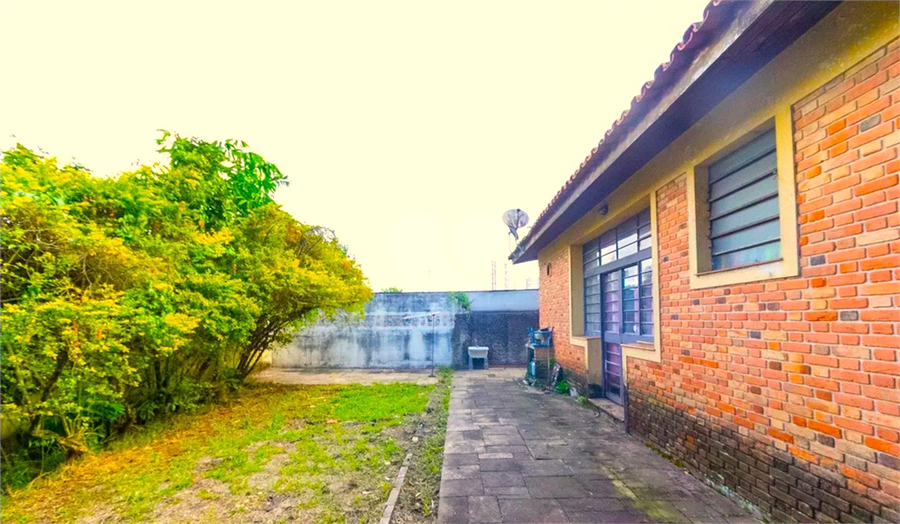 Foto REO1134126