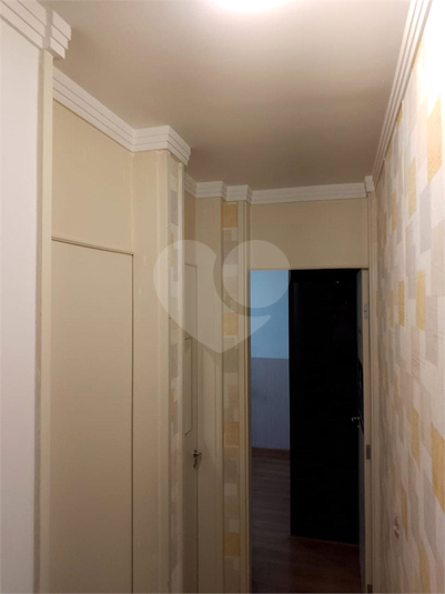 Foto REO1134143