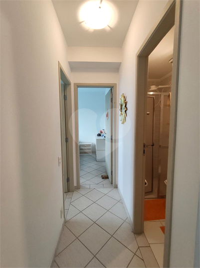 Foto REO1134148