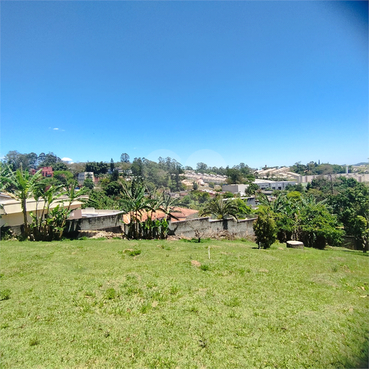 Foto REO1134158