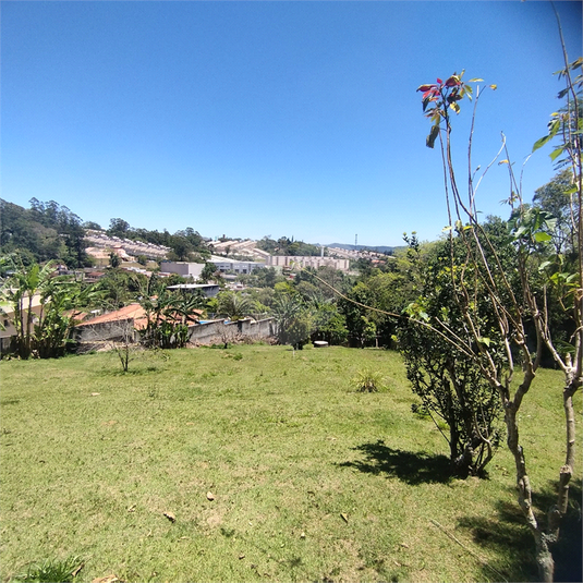 Foto REO1134158
