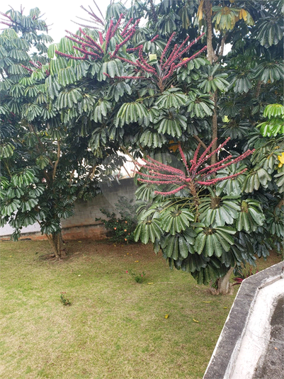 Foto REO1134158