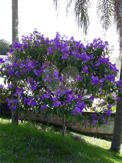 Foto REO1134158