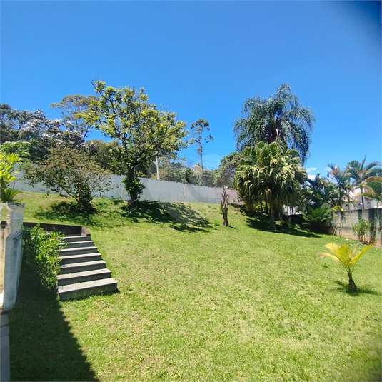 Foto REO1134158