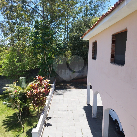 Foto REO1134158
