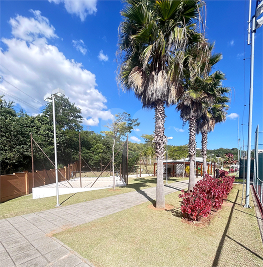 Foto REO1134199