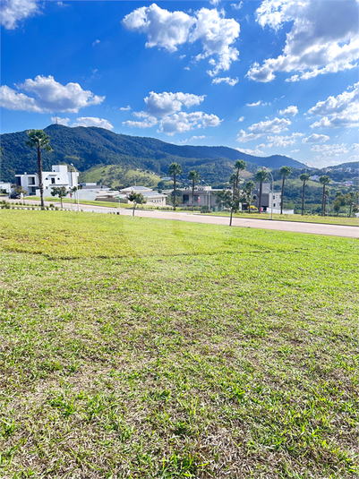 Foto REO1134199