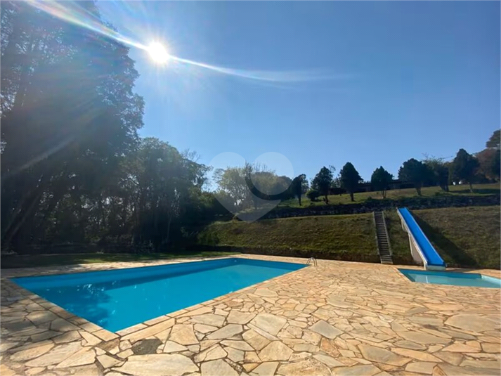 Foto REO1134213