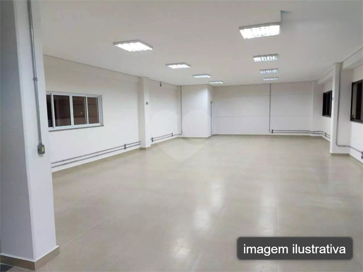 Foto REO1134224