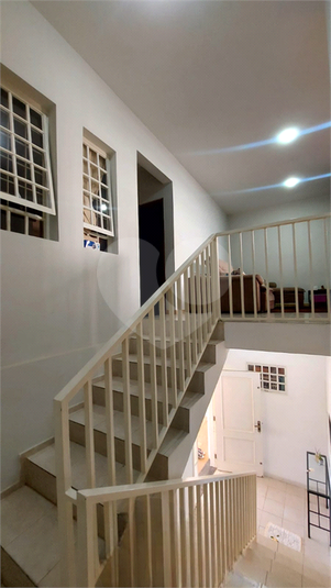 Foto REO1134230