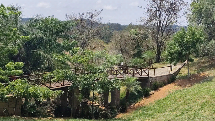 Foto REO1134231